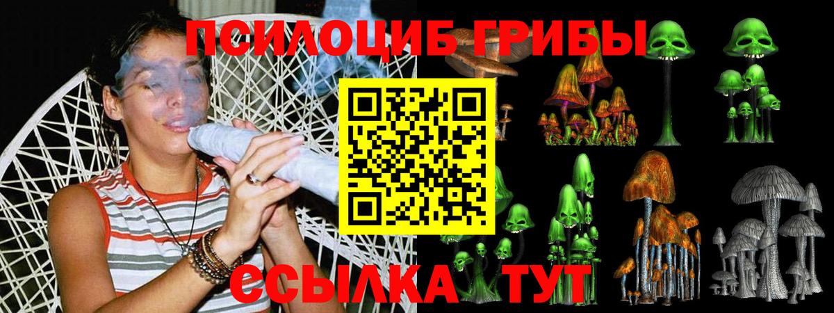 Галлюциногенные грибы ЛСД Вятские Поляны
