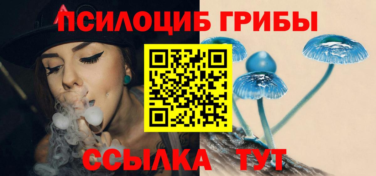 закладка  Псилоцибиновые грибы прущие грибы  Вход с VPN  Вятские Поляны  Галлюциногенные грибы Psilocybine cubensis 